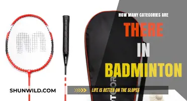 Badminton's Diverse Categories: A Comprehensive Overview