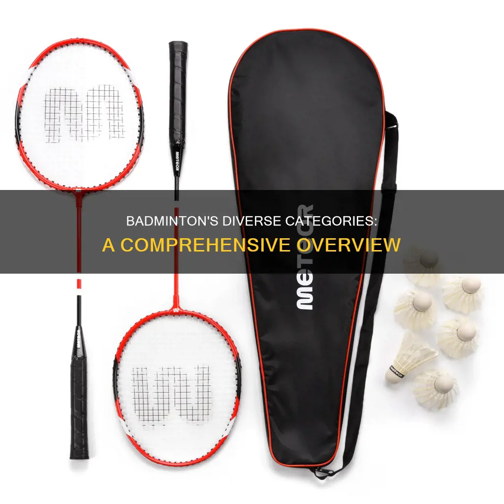 how many categories are there in badminton