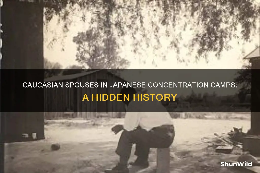 how many caucasians followed spouses to japanese concentration camps