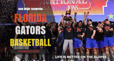 Florida Gators Basketball: Championship Dynasty