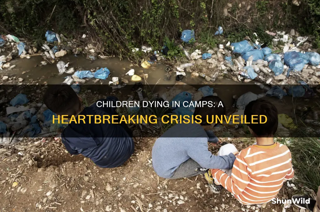 how many childrendying in camp