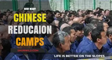 Unveiling the Truth: Chinese Re-education Camps and Their Numbers