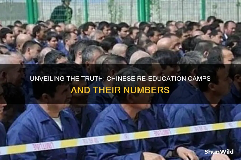 how many chinese reducaion camps