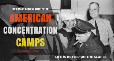 Unveiling the Dark History of Chinese Incarceration in American Camps