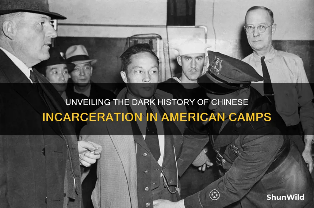 how many chinese were put in american concentration camps