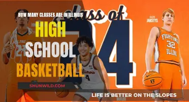 Illinois High School Basketball: Class System Explained