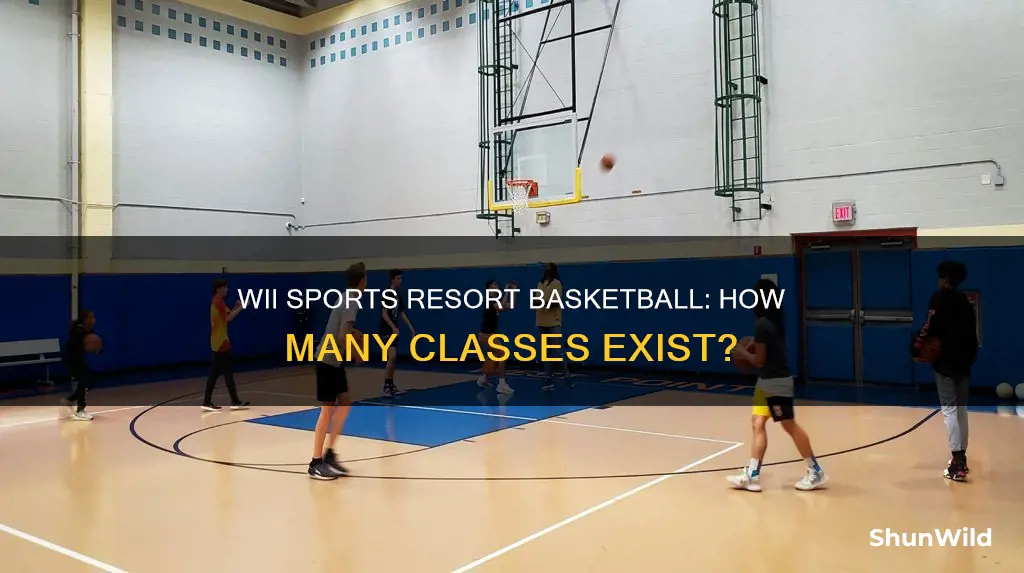 how many classes are there wii sports resort basketball