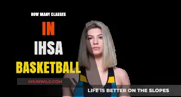 Illinois High School Basketball: Class System Explained
