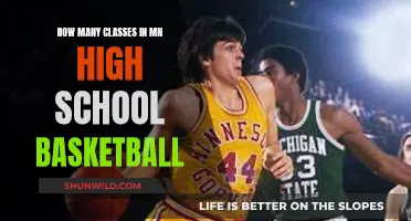 Basketball Class Divisions in Minnesota High Schools Explained