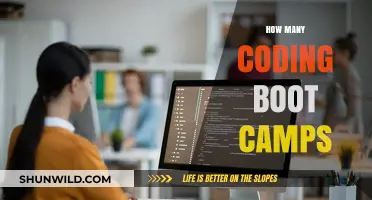Exploring the Proliferation of Coding Boot Camps: How Many Exist?