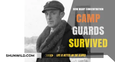 Surviving the Aftermath: Concentration Camp Guards' Fate Revealed