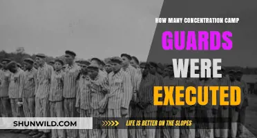Concentration Camp Guards Executed: Uncovering the Post-War Justice Toll