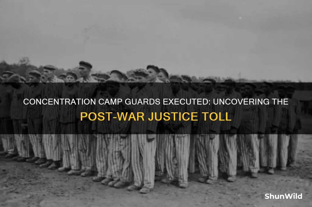 how many concentration camp guards were executed