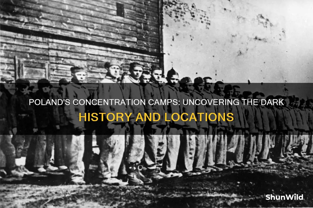 how many concentration camp in poland