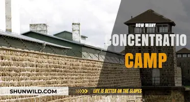 Unveiling the Dark History: Concentration Camps and Their Numbers