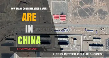 China's Hidden Camps: Uncovering the Scope of Detention Centers