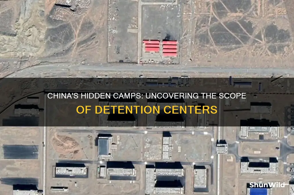 how many concentration camps are in china