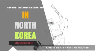 Unveiling North Korea's Hidden Concentration Camps: A Chilling Reality