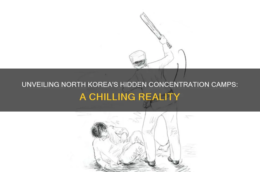 how many concentration camps are in north korea