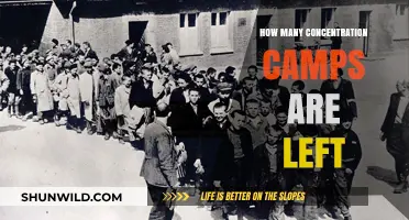 Remaining Concentration Camps: A Haunting Legacy of History's Darkest Chapter