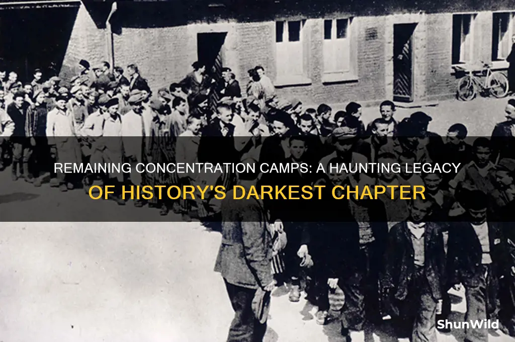 how many concentration camps are left
