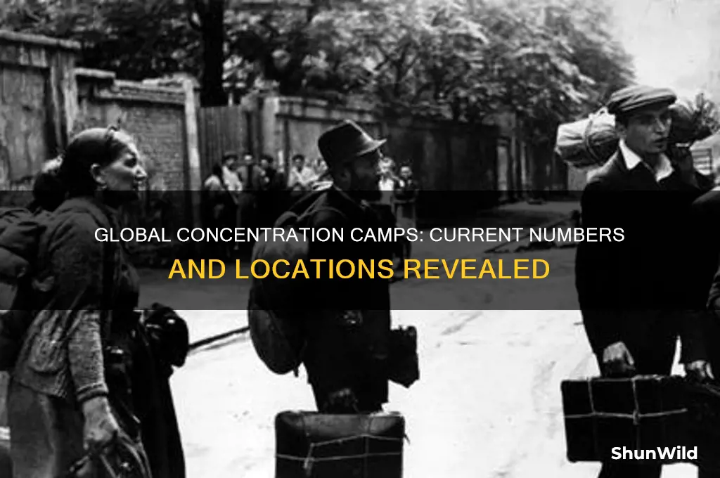 how many concentration camps are there in the world