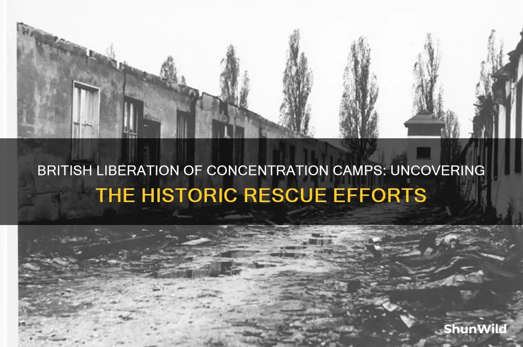 how many concentration camps did bristian liberate