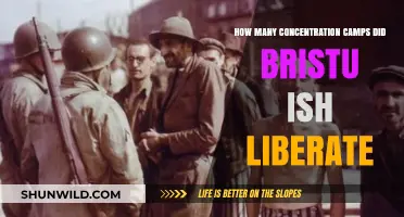 British Forces' Liberation of Nazi Concentration Camps: A Historical Overview