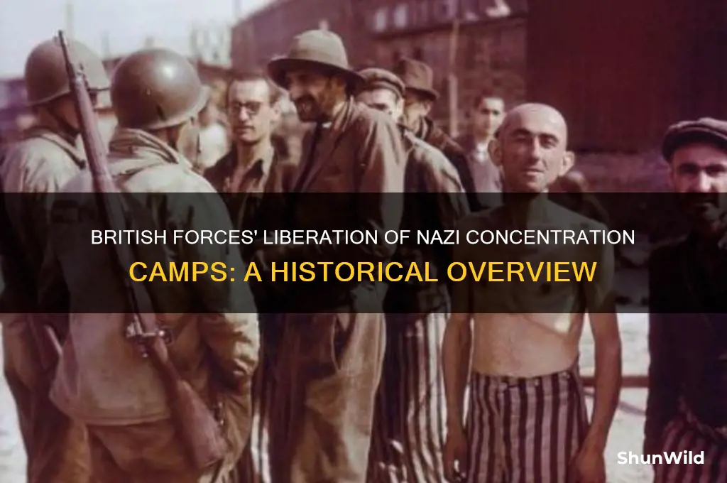 how many concentration camps did bristu ish liberate