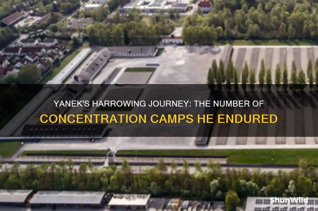 how many concentration camps did yanek go to