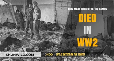 WWII Concentration Camps: Uncovering the Devastating Death Toll