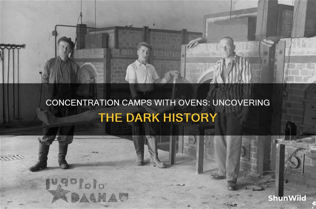 how many concentration camps had ovens