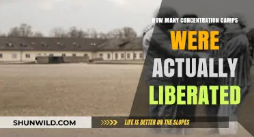 Liberation of Concentration Camps: Uncovering the Actual Numbers