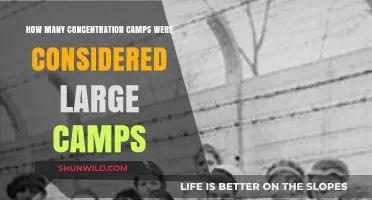 Large-Scale Concentration Camps: How Many Were Considered Major?