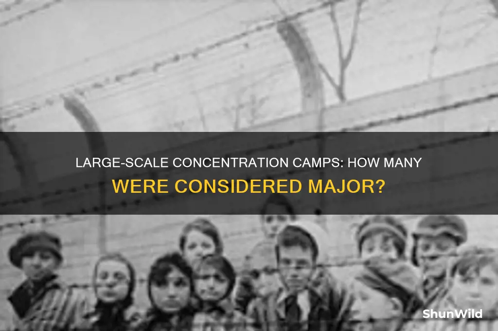 how many concentration camps were considered large camps