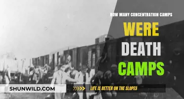 Death Camps vs. Concentration Camps: Understanding the Holocaust's Dark Reality