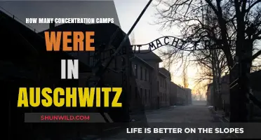 Auschwitz Concentration Camps: Uncovering the Number and Their Dark History