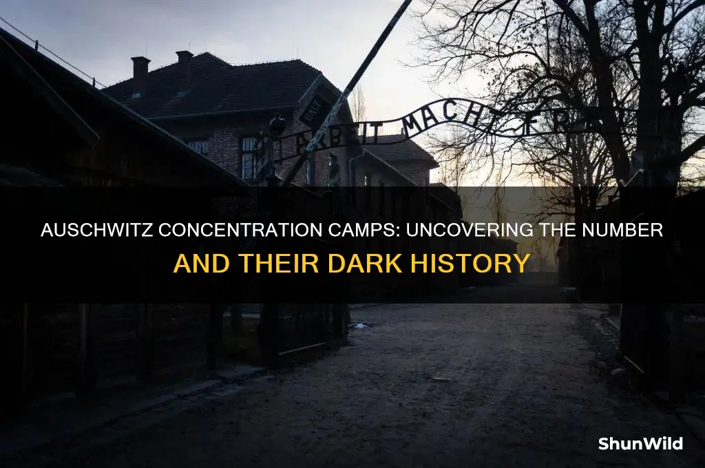 how many concentration camps were in auschwitz