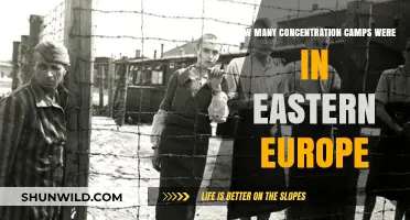 Eastern Europe's Dark History: Uncovering the Number of Concentration Camps