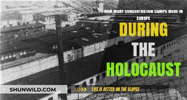 Unveiling Europe's Dark History: Concentration Camps During the Holocaust