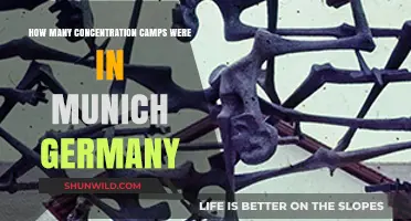 Munich's Dark History: Uncovering the Number of Concentration Camps