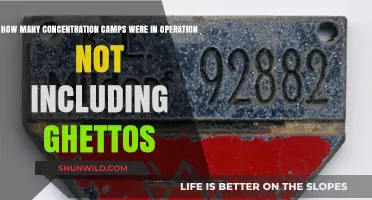 Unveiling the Scale: Concentration Camps Beyond Ghetto Walls