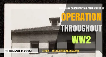 Unveiling the Dark Reality: Concentration Camps During World War II