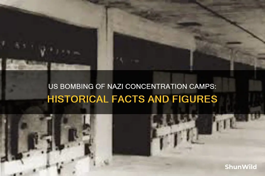 how many concentration camps were shot down buy the usa