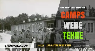 Uncovering the Dark History: Total Number of Concentration Camps