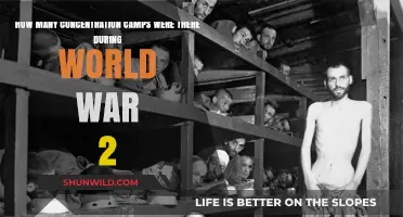 Unveiling the Dark History: Concentration Camps of World War II