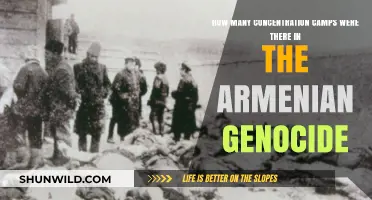 Uncovering the Armenian Genocide: Concentration Camps and Their Numbers