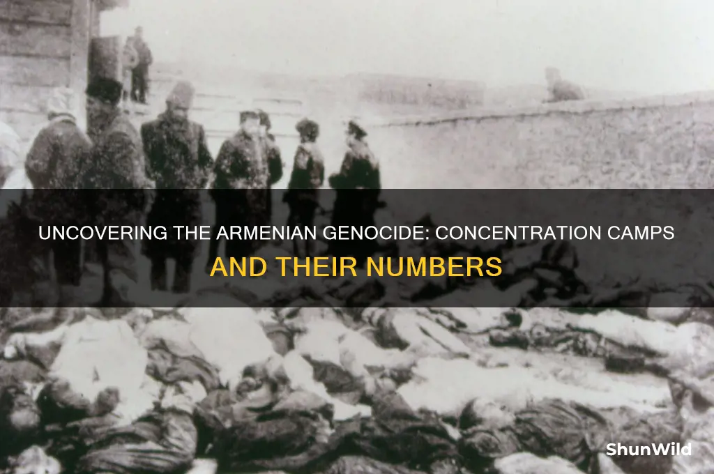 how many concentration camps were there in the armenian genocide