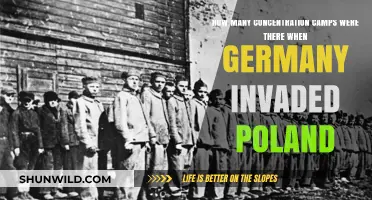 Germany's Invasion of Poland: Uncovering the Scale of Concentration Camps