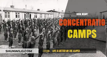 Unveiling the Dark History: Exploring the Number of Concentration Camps